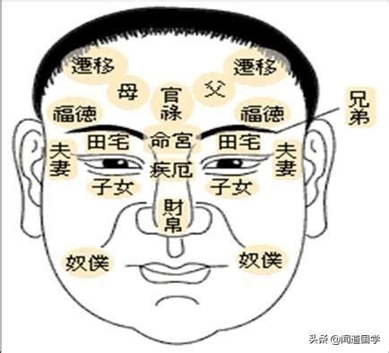 陰德紋長在何處|看看你自己積的「陰德紋」是否顯現